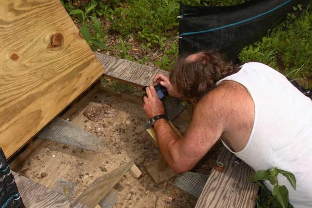 webPhilphotoscoppersintrapjuly09.jpg