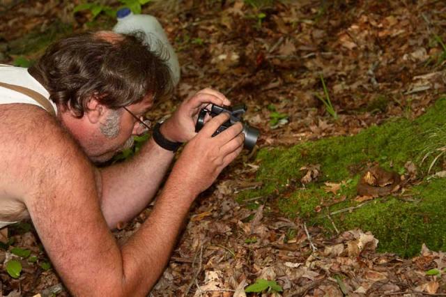 Phil Photographs Cottonmouth.