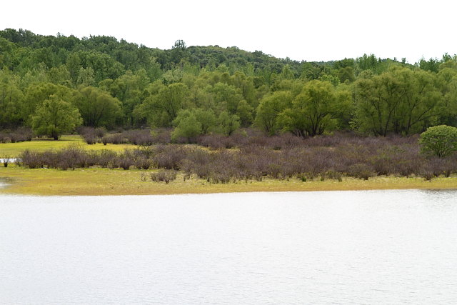 Lake Back Waters 2012.