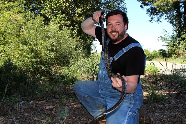 Will And Rat Snake Along Mississippi River 2012.