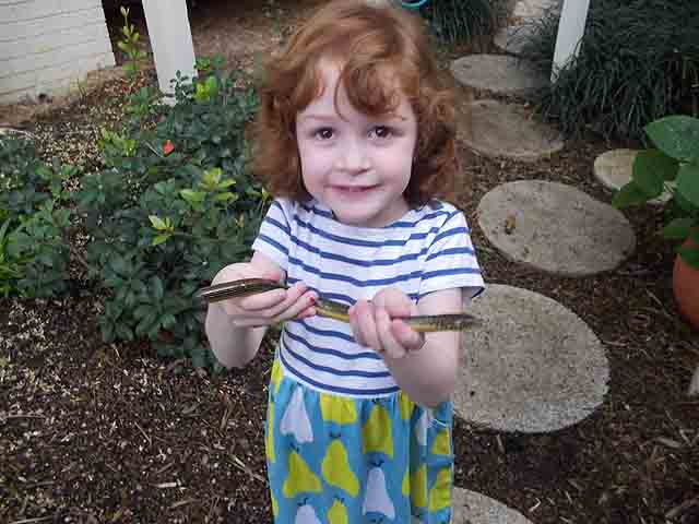 Eliza And Glass Lizard 2013.