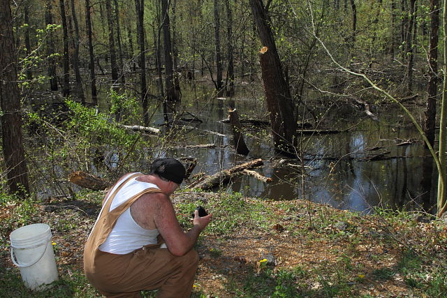 Phil Photographs A Cottonmouth 15 April 2013.