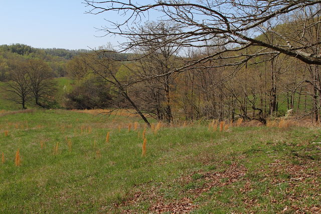 Forest Meets Field In Casey County 2013.