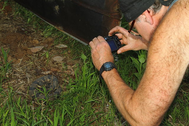 Phil Peak Photographing A Rattlesnake 2014.
