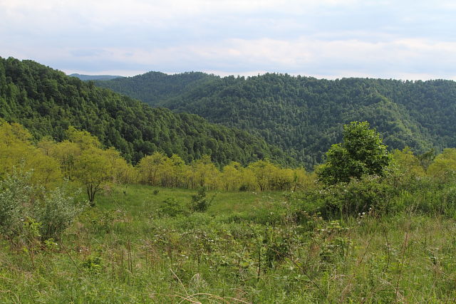 Leslie County, KY 2014.