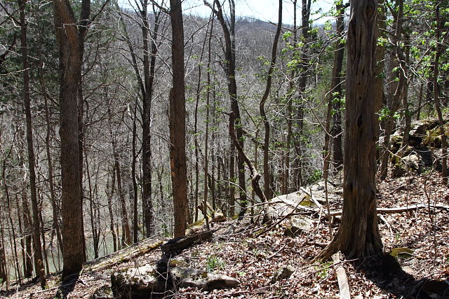 Rocky Ridge Overlooking Stream in The Knobs Of Kentucky. 3 April 2016.