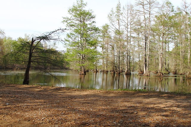 Slough Habitat 2016.