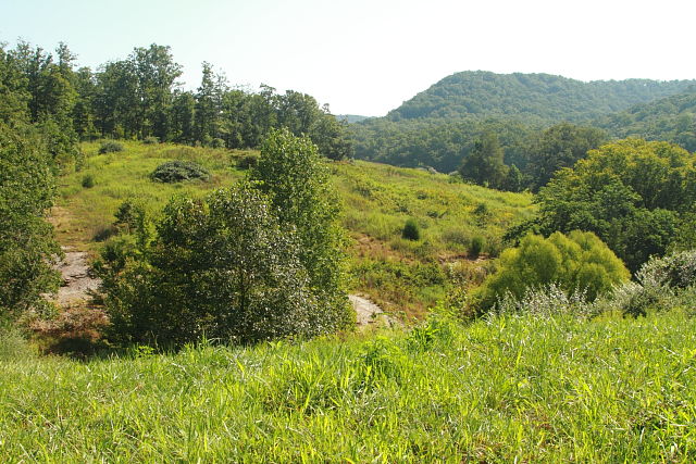 Mix Of Forest, Fields, Talus, And Scrub Land In Casey County, KY. 2017.