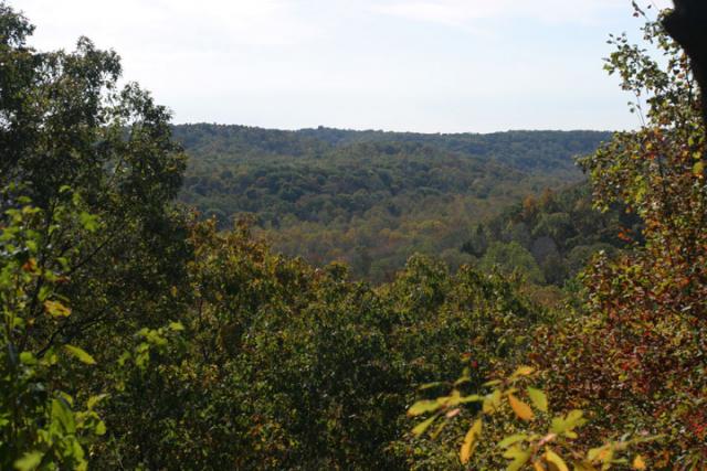 Overlooking The Green River.