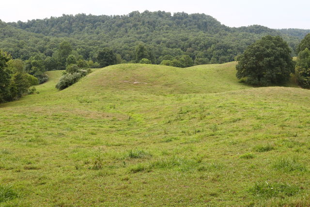 Forest Meets Fields In Upland Knobs 2019.