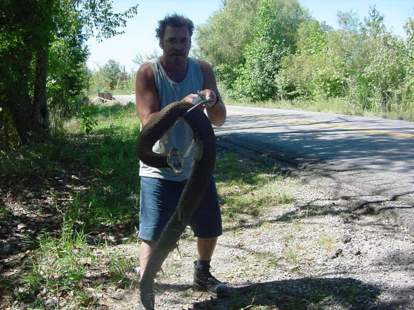 Phil Peak And Large Cottonmouth Circa 2004.