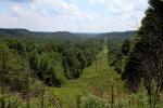 Powerline Cut Offers An Opening In The Forest Canopy August 2012.
