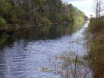 Alligator Canal 2013.