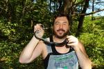 On 14 September 2014 Phil And I Documented Our 700th Black Kingsnake Since Our Note Keeping Began In 2003.