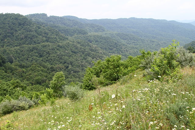 View From A Harlan County Strip Mine 2015.