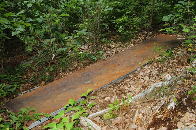 Timber Rattlesnake Metal Where Double Digit Specimens Have Been Located. 