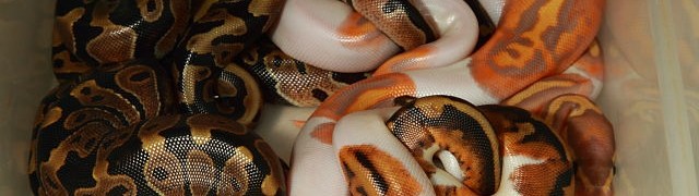 August 2017 Update!